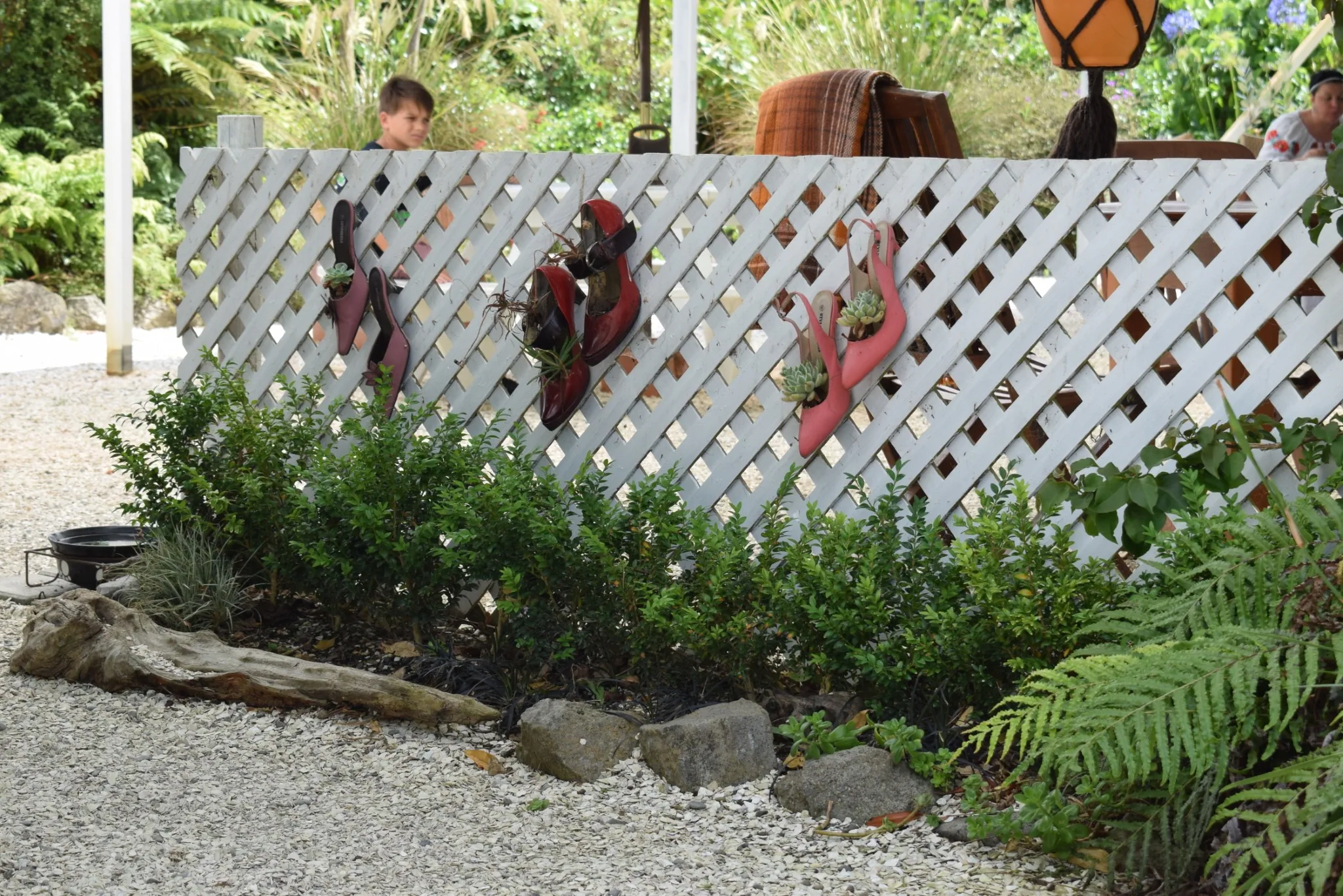 L17 marshall released from auckland quarantine (native tree cafe mangatarata) 17 dec 2017 (2)